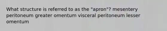 What structure is referred to as the "apron"? mesentery peritoneum greater omentum visceral peritoneum lesser omentum