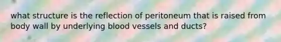 what structure is the reflection of peritoneum that is raised from body wall by underlying blood vessels and ducts?