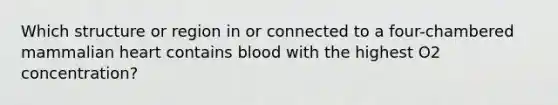 Which structure or region in or connected to a four-chambered mammalian heart contains blood with the highest O2 concentration?