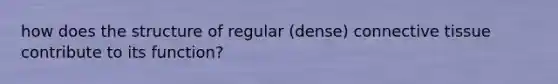 how does the structure of regular (dense) connective tissue contribute to its function?