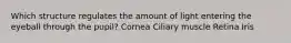 Which structure regulates the amount of light entering the eyeball through the pupil? Cornea Ciliary muscle Retina Iris