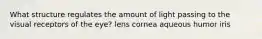 What structure regulates the amount of light passing to the visual receptors of the eye? lens cornea aqueous humor iris