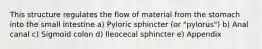 This structure regulates the flow of material from the stomach into the small intestine a) Pyloric sphincter (or "pylorus") b) Anal canal c) Sigmoid colon d) Ileocecal sphincter e) Appendix