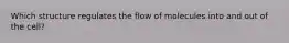 Which structure regulates the flow of molecules into and out of the cell?