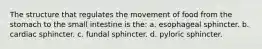 The structure that regulates the movement of food from the stomach to the small intestine is the: a. esophageal sphincter. b. cardiac sphincter. c. fundal sphincter. d. pyloric sphincter.