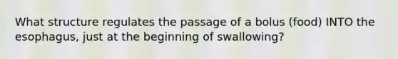 What structure regulates the passage of a bolus (food) INTO the esophagus, just at the beginning of swallowing?