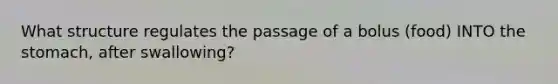 What structure regulates the passage of a bolus (food) INTO the stomach, after swallowing?