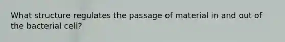 What structure regulates the passage of material in and out of the bacterial cell?