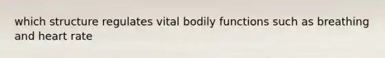 which structure regulates vital bodily functions such as breathing and heart rate