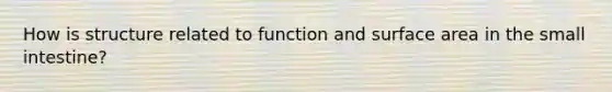 How is structure related to function and surface area in the small intestine?