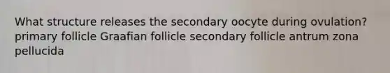 What structure releases the secondary oocyte during ovulation? primary follicle Graafian follicle secondary follicle antrum zona pellucida