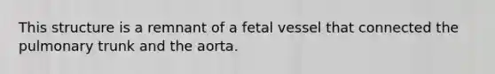 This structure is a remnant of a fetal vessel that connected the pulmonary trunk and the aorta.