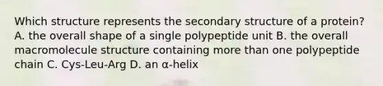 Which structure represents the secondary structure of a protein? A. the overall shape of a single polypeptide unit B. the overall macromolecule structure containing more than one polypeptide chain C. Cys‑Leu‑Arg D. an α‑helix