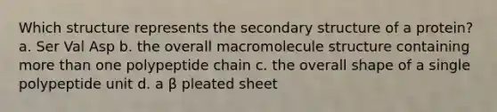 Which structure represents the <a href='https://www.questionai.com/knowledge/kRddrCuqpV-secondary-structure' class='anchor-knowledge'>secondary structure</a> of a protein? a. Ser Val Asp b. the overall macromolecule structure containing more than one polypeptide chain c. the overall shape of a single polypeptide unit d. a β pleated sheet