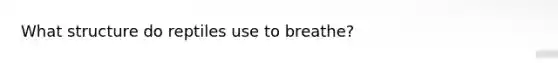 What structure do reptiles use to breathe?
