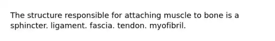 The structure responsible for attaching muscle to bone is a sphincter. ligament. fascia. tendon. myofibril.