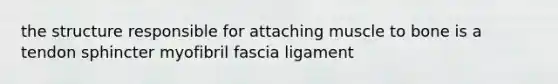 the structure responsible for attaching muscle to bone is a tendon sphincter myofibril fascia ligament