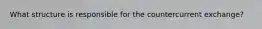 What structure is responsible for the countercurrent exchange?