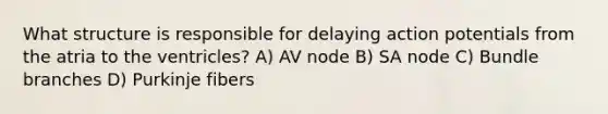 What structure is responsible for delaying action potentials from the atria to the ventricles? A) AV node B) SA node C) Bundle branches D) Purkinje fibers