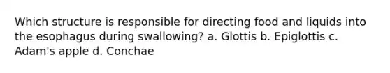 Which structure is responsible for directing food and liquids into the esophagus during swallowing? a. Glottis b. Epiglottis c. Adam's apple d. Conchae