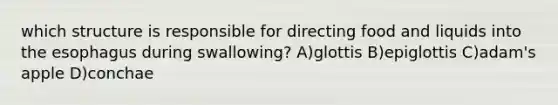 which structure is responsible for directing food and liquids into <a href='https://www.questionai.com/knowledge/kSjVhaa9qF-the-esophagus' class='anchor-knowledge'>the esophagus</a> during swallowing? A)glottis B)epiglottis C)adam's apple D)conchae
