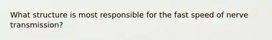 What structure is most responsible for the fast speed of nerve transmission?