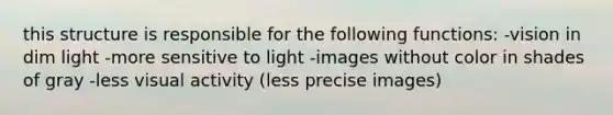 this structure is responsible for the following functions: -vision in dim light -more sensitive to light -images without color in shades of gray -less visual activity (less precise images)