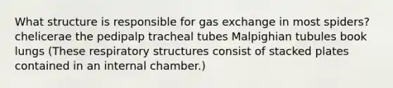 What structure is responsible for <a href='https://www.questionai.com/knowledge/kU8LNOksTA-gas-exchange' class='anchor-knowledge'>gas exchange</a> in most spiders? chelicerae the pedipalp tracheal tubes Malpighian tubules book lungs (These respiratory structures consist of stacked plates contained in an internal chamber.)