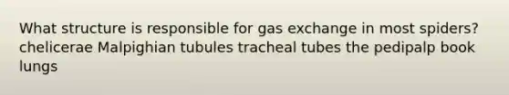 What structure is responsible for gas exchange in most spiders? chelicerae Malpighian tubules tracheal tubes the pedipalp book lungs