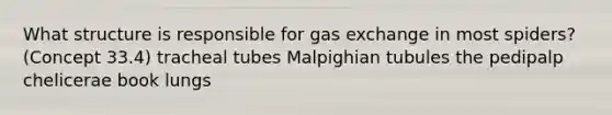 What structure is responsible for gas exchange in most spiders? (Concept 33.4) tracheal tubes Malpighian tubules the pedipalp chelicerae book lungs