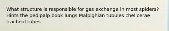 What structure is responsible for gas exchange in most spiders? Hints the pedipalp book lungs Malpighian tubules chelicerae tracheal tubes