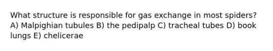 What structure is responsible for gas exchange in most spiders? A) Malpighian tubules B) the pedipalp C) tracheal tubes D) book lungs E) chelicerae