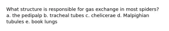 What structure is responsible for <a href='https://www.questionai.com/knowledge/kU8LNOksTA-gas-exchange' class='anchor-knowledge'>gas exchange</a> in most spiders? a. the pedipalp b. tracheal tubes c. chelicerae d. Malpighian tubules e. book lungs