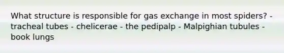 What structure is responsible for <a href='https://www.questionai.com/knowledge/kU8LNOksTA-gas-exchange' class='anchor-knowledge'>gas exchange</a> in most spiders? - tracheal tubes - chelicerae - the pedipalp - Malpighian tubules - book lungs