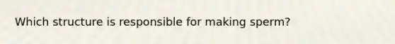 Which structure is responsible for making sperm?