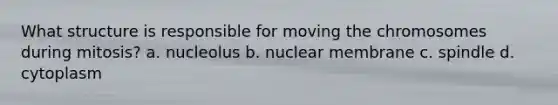 What structure is responsible for moving the chromosomes during mitosis? a. nucleolus b. nuclear membrane c. spindle d. cytoplasm