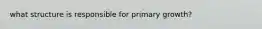 what structure is responsible for primary growth?