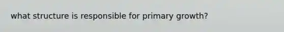 what structure is responsible for primary growth?