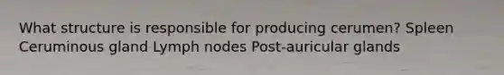What structure is responsible for producing cerumen? Spleen Ceruminous gland Lymph nodes Post-auricular glands