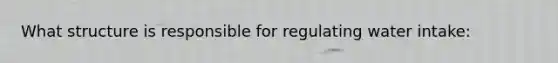 What structure is responsible for regulating water intake: