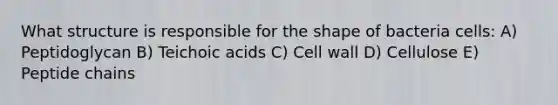 What structure is responsible for the shape of bacteria cells: A) Peptidoglycan B) Teichoic acids C) Cell wall D) Cellulose E) Peptide chains