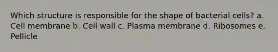 Which structure is responsible for the shape of bacterial cells? a. Cell membrane b. Cell wall c. Plasma membrane d. Ribosomes e. Pellicle