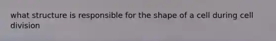 what structure is responsible for the shape of a cell during cell division