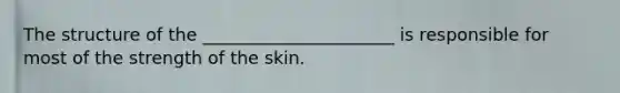 The structure of the ______________________ is responsible for most of the strength of the skin.