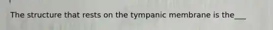 The structure that rests on the tympanic membrane is the___