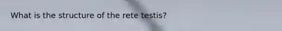 What is the structure of the rete testis?