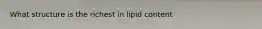 What structure is the richest in lipid content