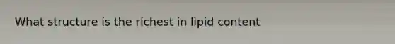 What structure is the richest in lipid content