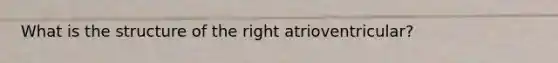 What is the structure of the right atrioventricular?