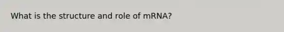 What is the structure and role of mRNA?